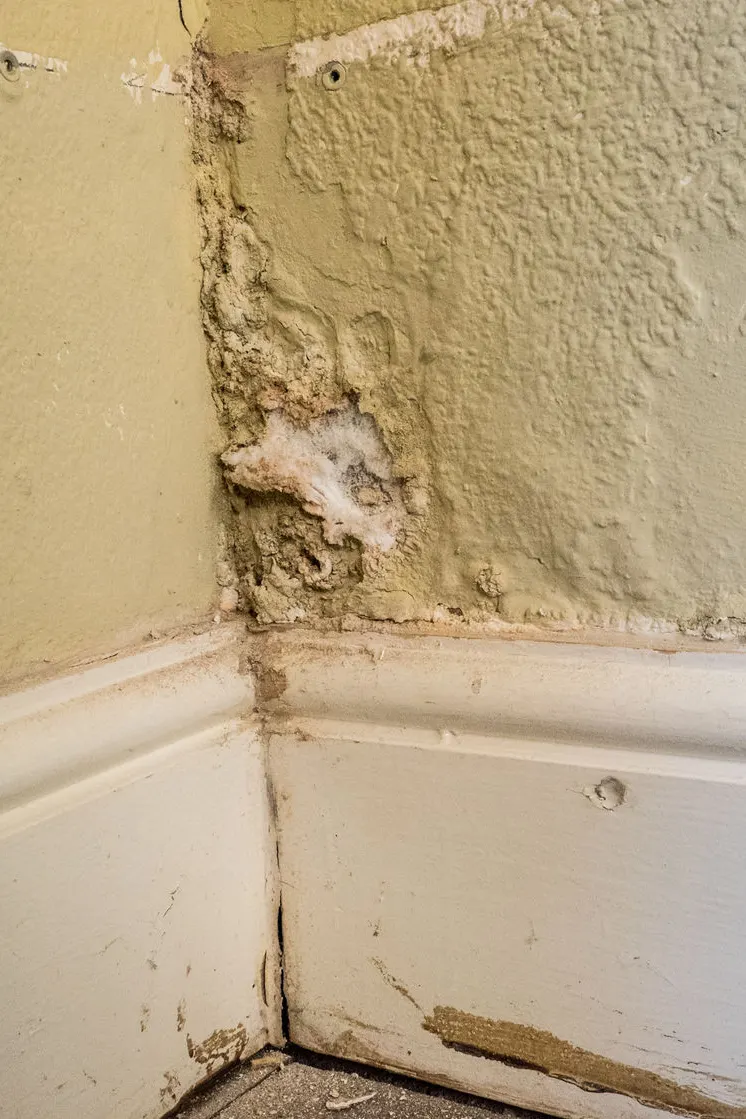 Damp damage to plaster above a skirting board
