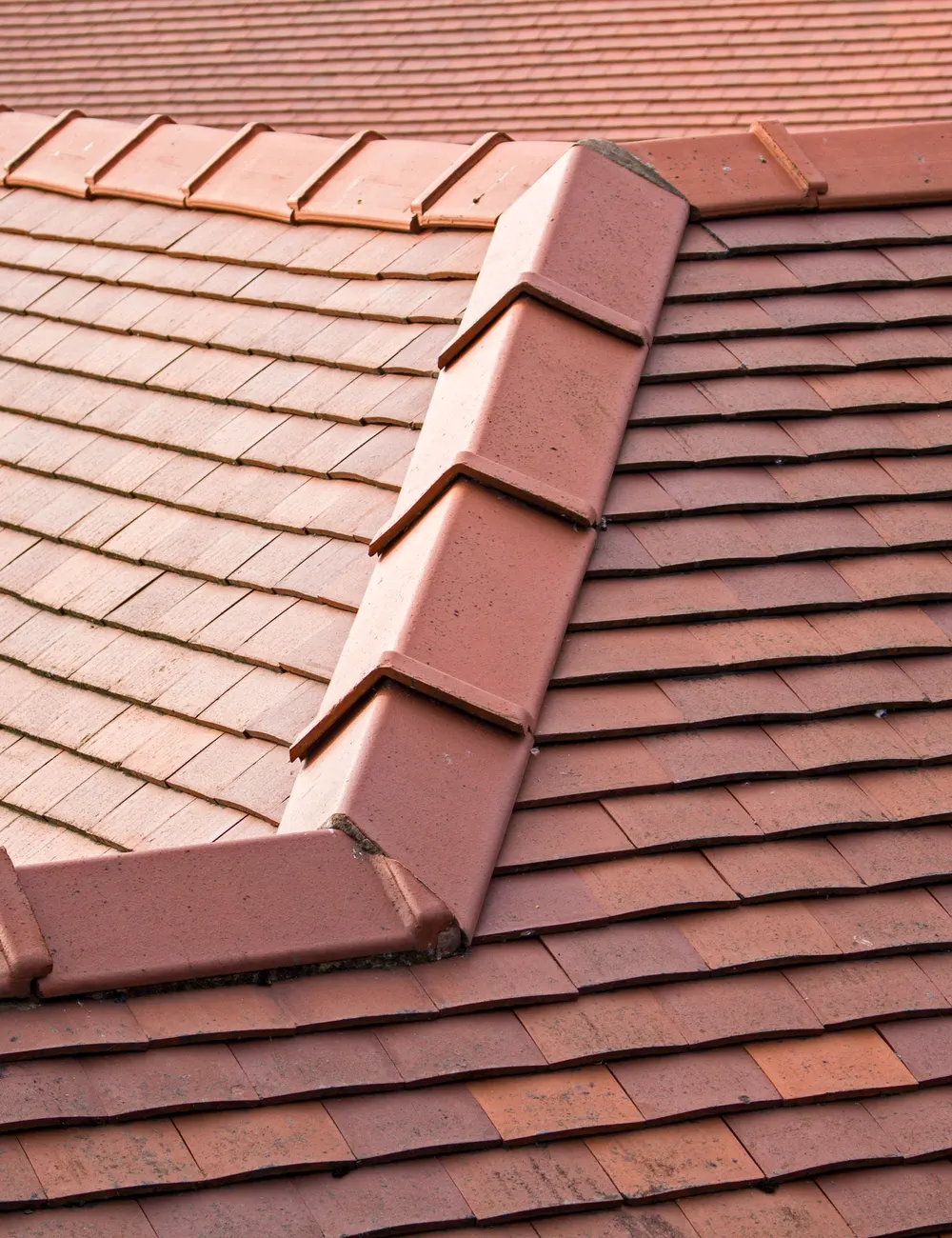 Red ridge tiles along the top of a plain tiled roof