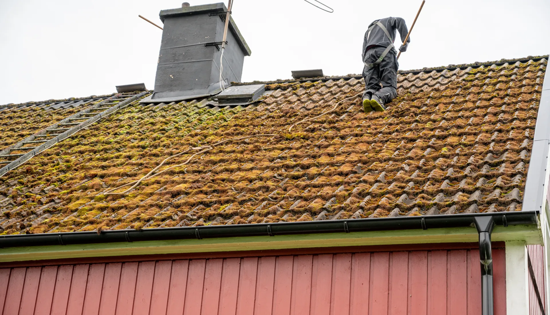 A roofer clearing moss from a tiled roof
